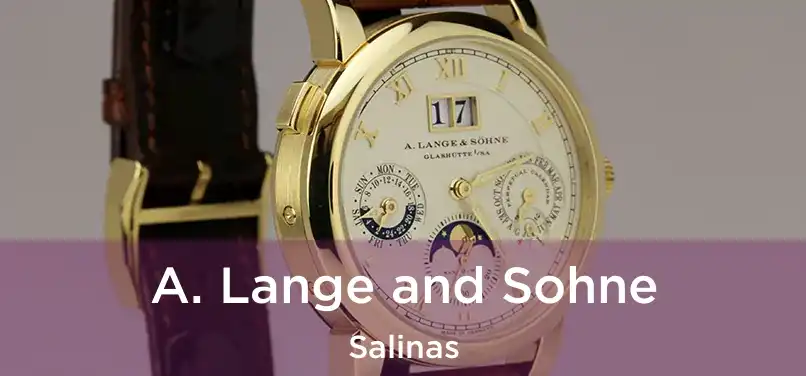 A. Lange and Sohne Salinas