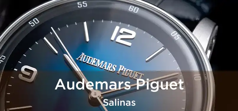 Audemars Piguet Salinas