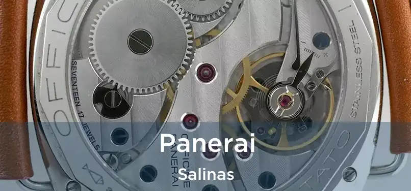 Panerai Salinas