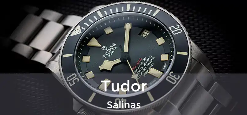 Tudor Salinas