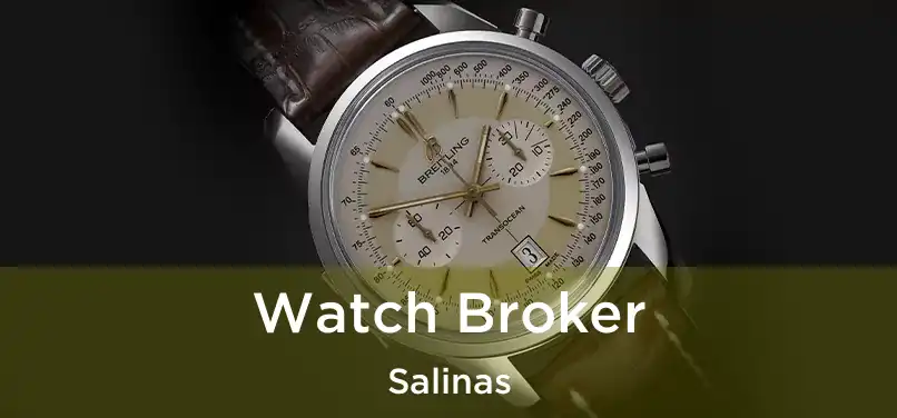 Watch Broker Salinas