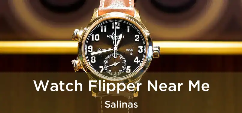 Watch Flipper Near Me Salinas