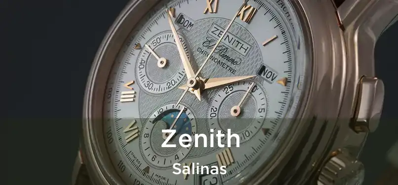 Zenith Salinas